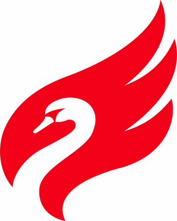 St Petersburg Swans