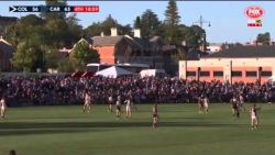 Highlights of Mason Cox's Debut for Collingwood